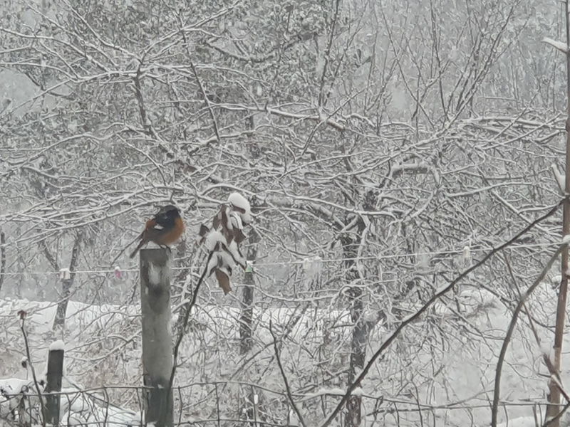 수정-겨울 풍경
